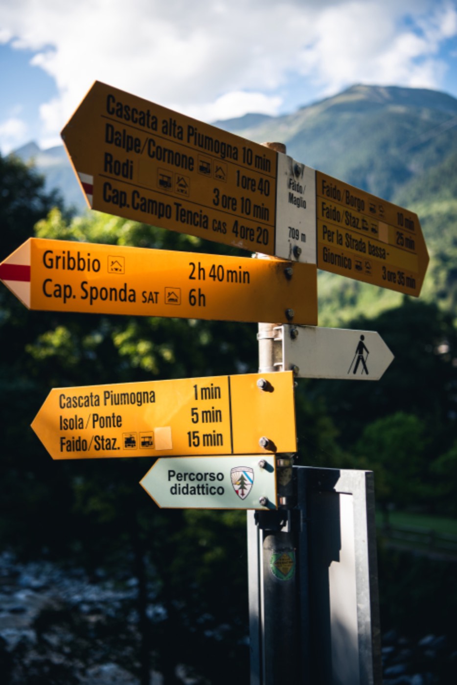 How to Get a Job After Graduation Without Experience